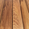 Thermo OAK